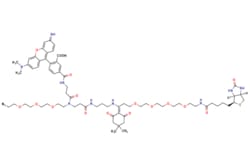 eMolecules​ Broadpharm / Dde TAMRA Biotin Azide / 5mg / 448298273 / BP-24299