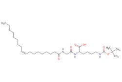 eMolecules​ Broadpharm / N-Boc-N-(Gly-Oleoyl)-Lys / 250mg / 445408915 /