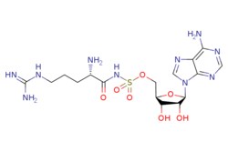 eMolecules​ 301351-95-1 | Medchem Express | Arg-AMS | 5mg | 434310636 |