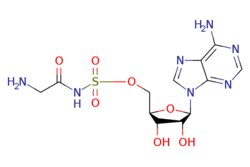 eMolecules​ 112921-11-6 | Medchem Express | GlyRS-IN-1 | 5mg | 415686624