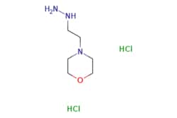 eMolecules​ ChemScene / 4-(2-Hydrazinylethyl)morpholine dihydrochloride