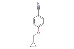 eMolecules​ Synthonix / 4-(cyclopropylmethoxy)benzonitrile / 1g / 786491233