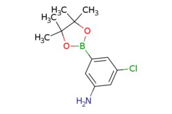 eMolecules​ ChemScene / 3-Chloro-5-(4455-tetramethyl-132-dioxaborolan-2-yl)aniline
