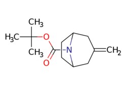 eMolecules​ Pharmablock / tert-butyl 3-methylene-8-azabicyclo[3.2.1]octane-8-carboxylate