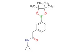 eMolecules​ 1031747-48-4 | Ambeed | N-Cyclopropyl-2-(3-(4455-tetramethyl-132-dioxaborolan-2-yl)phenyl)acetamide