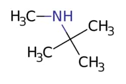 eMolecules​ AstaTech / N-METHYL-TERT-BUTYLAMINE / 1g / 718058783 / D94509