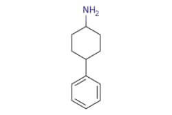 eMolecules​ ChemScene / 4-Phenylcyclohexan-1-amine / 250mg / 717420291