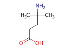 eMolecules​ ChemScene / 4-Amino-4-methylpentanoic acid / 250mg / 714169650