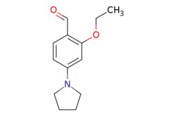 eMolecules​ ChemScene / 2-Ethoxy-4-(1-pyrrolidinyl)benzaldehyde / 250mg