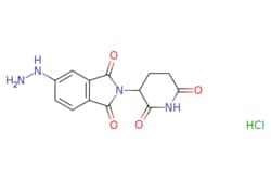 eMolecules​ 2803460-96-8 | Ambeed | 2-(26-Dioxopiperidin-3-yl)-5-hydrazinylisoindoline-13-dione