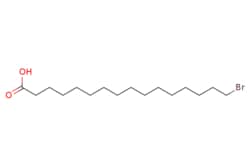 eMolecules​ 2536-35-8 | Ambeed | 16-Bromohexadecanoic acid | 1g | 660583376