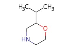 eMolecules​ 89855-02-7 | Ambeed | 2-Isopropylmorpholine | 250mg | 633418360