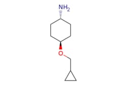 eMolecules​ 919799-80-7 | Ambeed | trans-4-(Cyclopropylmethoxy)cyclohexanamine