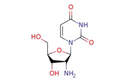 eMolecules​ ChemScene / 2-Amino-2-deoxyuridine / 250mg / 632313962 / CS-W014134