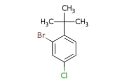 eMolecules​ 1369776-71-5 | Ambeed | 2-Bromo-1-(tert-butyl)-4-chlorobenzene