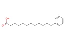 eMolecules​ 14507-27-8 | Ambeed | 12-Phenyldodecanoic acid | 100mg | 600845948