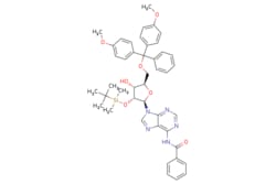 eMolecules​ Ambeed / 5-O-DMT-2-O-TBDMS-N-Bz-Adenosine / 1g / 600828516