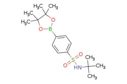 eMolecules​ 648905-63-9 | Ambeed | N-(tert-Butyl)-4-(4455-tetramethyl-132-dioxaborolan-2-yl)benzenesulfonamide