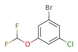 eMolecules​&nbsp;1004112-67-7 | 1-Bromo-3-chloro-5-(difluoromethoxy)benzene | ChemScene | MFCD18390894 | 257.460 | C7H4BrClF2O | 97.000 | FC(F)Oc1cc(Cl)cc(Br)c1 | 250mg | 569145860