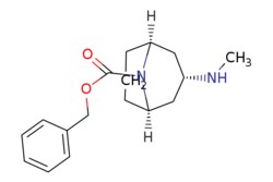eMolecules​ Pharmablock / benzyl exo-3-(methylamino)-9-azabicyclo[3.3.1]nonane-9-carboxylate