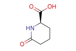 eMolecules​&nbsp;ChemScene / (R)-6-Oxopiperidine-2-carboxylic acid / 250mg / 536805839 / CS-0101607 / 0.000 / 72002-30-3 / MFCD09025314 / 143.142 / C6H9NO3