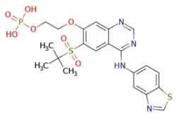 eMolecules​&nbsp;Ambeed / 2-((4-(Benzo[d]thiazol-5-ylamino)-6-(tert-butylsulfonyl)quinazolin-7-yl)oxy)ethyl dihydrogen phosphate / 1mg / 534569075 / A939659 /  / 1579965-12-0 / MFCD30489430 / 538.530 / C21H23N4O7PS2