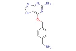 eMolecules​ Ambeed / 6-((4-(Aminomethyl)benzyl)oxy)-7H-purin-2-amine /