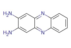 eMolecules​&nbsp;AstaTech / 23-DIAMINOPHENAZINE / 1g / 323610682 / F15496 / 0.000 / 655-86-7 / MFCD00160693 / 210.240 / C12H10N4