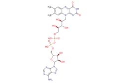 eMolecules​&nbsp;146-14-5 | Medchem Express |  Flavin adenine dinucleotide |  5mg | 784544366 | HY-B1654 | 785.557 |  C27H33N9O15P2