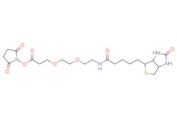 eMolecules​&nbsp;596820-83-6 | Medchem Express |  Biotin-PEG2-NHS ester |  25mg | 761506345 | HY-140888 | 500.57 |  C21H32N4O8S