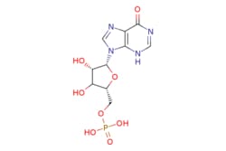 eMolecules​ 131-99-7 | Medchem Express | Inosinic acid | 25mg | 761506156