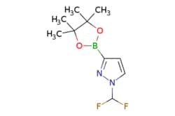 eMolecules​&nbsp;2173194-53-9 | 1-(Difluoromethyl)-3-(4,4,5,5-tetramethyl-1,3,2-dioxaborolan-2-yl)-1H-pyrazole | Ambeed | MFCD30181542 | 244.050 | C10H15BF2N2O2 | 97.000 | CC1(C)OB(OC1(C)C)c1ccn(n1)C(F)F | 250mg | 714088996