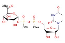 eMolecules​ 63700-19-6 | Medchem Express | UDP-glucuronic acid (trisodium)