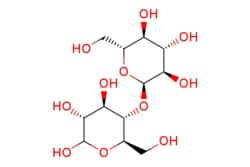 eMolecules​ 69-79-4 | Medchem Express | Maltose | 500mg | 536984368 | HY-N2024