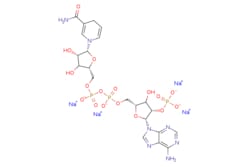 eMolecules​ 2646-71-1 | Medchem Express | NADPH (tetrasodium salt) | 50mg