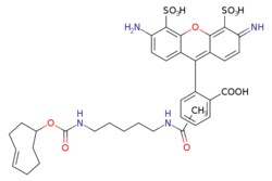 eMolecules​ Broadpharm / BP Fluor 488 TCO / 1mg / 795362023 / BP-40289