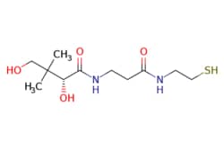 eMolecules​ Medchem Express / (R)-Pantetheine / 5mg / 713705998 / HY-126050