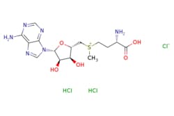eMolecules​ 86867-01-8 | Ambeed | ((S)-3-Amino-3-carboxypropyl)(((2S3S4R5R)-5-(6-amino-9H-purin-9-yl)-34-dihydroxytetrahydrofuran-2-yl)methyl)(methyl)sulfonium