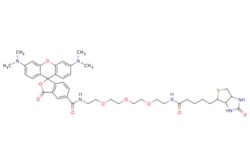 eMolecules​&nbsp;Broadpharm / TAMRA-PEG3-biotin / 1mg / 445408872 / BP-24274 / 97.000 / 2279944-59-9 / [null] / 831.000 / C43H54N6O9S
