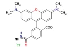 eMolecules​&nbsp;2183440-67-5 | TAMRA hydrazide, 6-isomer | Broadpharm480.950 | C25H25ClN4O4 | 95.000 | [Cl-].CN(C)c1ccc2c(-c3cc(ccc3C([O-])=O)C(=O)N[NH3+])c3ccc(cc3oc2c1)=[N+](C)C | 5mg | 374905237