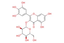 eMolecules​ Medchem Express / Myricetin 3-O-glucoside / 1mg / 769193696