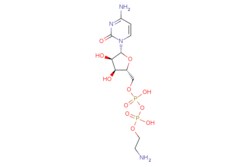 eMolecules​ 3036-18-8 | Medchem Express | Cytidine 5-diphosphoethanolamine