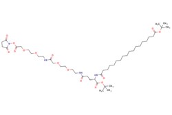 eMolecules​ 1118767-15-9 | Ambeed | (S)-2139-Di-tert-butyl 1-(25-dioxopyrrolidin-1-yl)