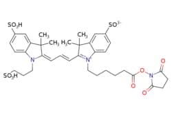 eMolecules​ Broadpharm / Sulfo-Cy3 NHS ester / 5mg / 599128540 / BP-25526