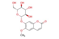 eMolecules​ 531-44-2 | Medchem Express | Scopolin | 10mg | 518571314 |