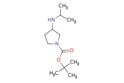 eMolecules​ 1289385-05-2 | TERT-BUTYL 3-(ISOPROPYLAMINO)PYRROLIDINE-1-CARBOXYLATE