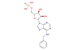 eMolecules​&nbsp;Medchem Express / IST5-002 / 1mg / 788478583 / HY-19527 /  / 13484-66-7 / MFCD25541633 / 437.349 / C17H20N5O7P