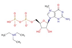 eMolecules​&nbsp;Broadpharm / 7-Methyl-Guanosine-5-Diphosphate TEA salt / 100mg / 761707631 / BP-58807 /  / 117723-13-4 / [null] / 559.429 / C17H33N6O11P2