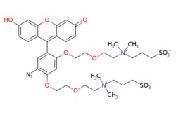 eMolecules​ Broadpharm / CalFluor 488 Azide / 1mg / 462125586 / BP-24164