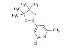 eMolecules​ Pharmablock / 2-chloro-6-methyl-4-(4455-tetramethyl-132-dioxaborolan-2-yl)pyridine